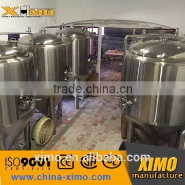 100L 200L 300L Micro Brewery for Sale photo-4