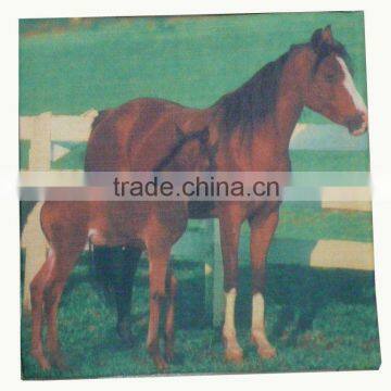 photo printing 100% polyester designer funny cushion cover