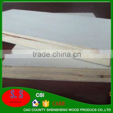 Latest Product of China 9mm-24mm Film Faced Plywood photo-3