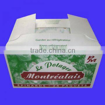 Fruit Packing PP Plastic Box for Transportation