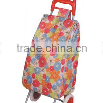 travel trolley luggage bag