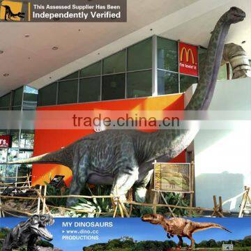 MY Dino-C026 Custom-made dinosaur model life size