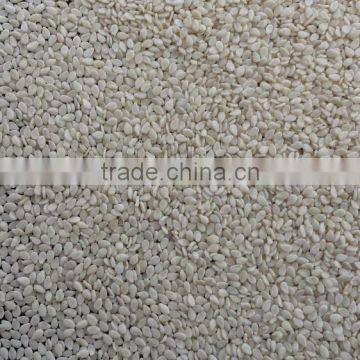 Sesame Seed Auto Dry Sortex Hulled 99.95% photo-2