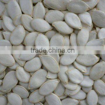 Shine skin pumpkin seeds