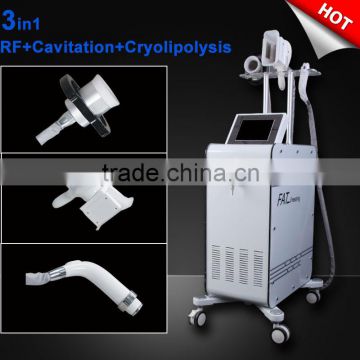 Reduce Cellulite Vertical Cryolipolysis Slimming Machine RF Beauty Machine Cavitation Machine 500W