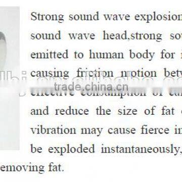 Vertical Lipo Laser Cryotherapy Fat Freezing Slimming Machine photo-4