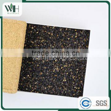 Premium Thailand Black Sesame Seeds photo-6
