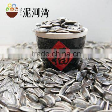 Sunflower seed for America type sunflower seeds 5009 price