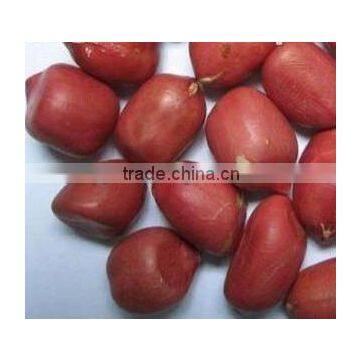 RED SKIN ROUND PEANUT KERNEL