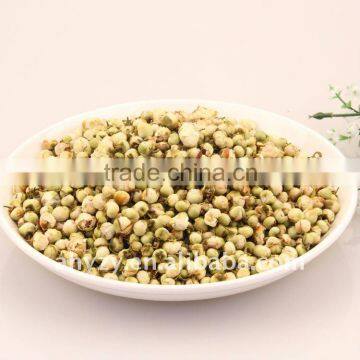 Camellia Sinensis (shanchahua)