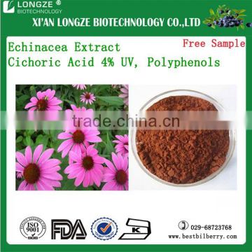 Factory Direct Supply Echinacea P.E/Echinacea Extract in Plant Extract,