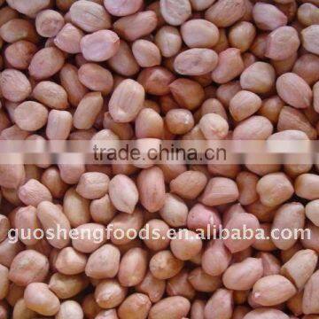 2013 crop shandong raw peanuts prices