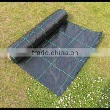 Ground Cover ,weeed Control Fabric ,geotextile Fabric ,100% Raw Material ,good Price and High Quality