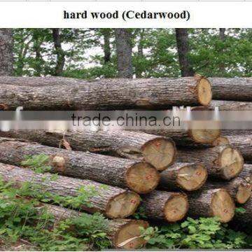 Hardwood charcoal high quality from Wangfa