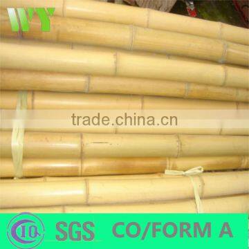 WY-183 Raw dry straight bamboo poles and bamboo stakes for garden plant