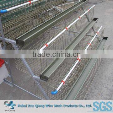 Hot galvanized chicken wire mesh cage for egg laying hens