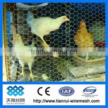 galvanized hexagonal wire mesh chicken wire