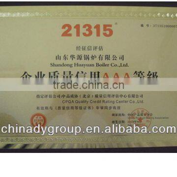 DZL Series Packaged Steam and Hot Water Boiler photo-3