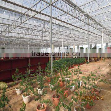 Hydroponics Agriculture Plastic Film Greenhouse photo-5