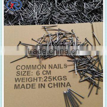 Common Nail Disorders&Use Common Nails photo-5