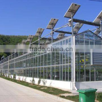 Different Models of Venlo Glass Multi-tunnel Green House With Good After-sale Service photo-2