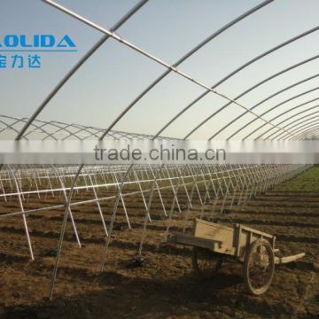 low cost single-span agricultur tunnel greenhouse