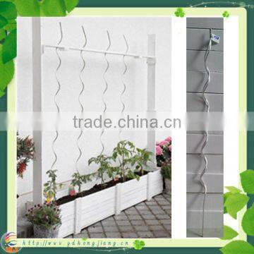 Tomato Plant Spiral Support Stakes photo-6