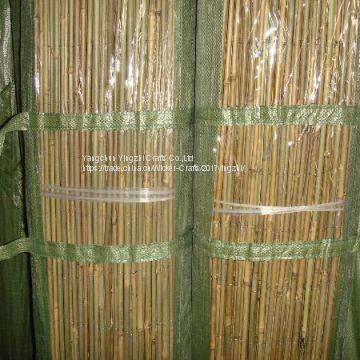 Factory bamboo stick fence