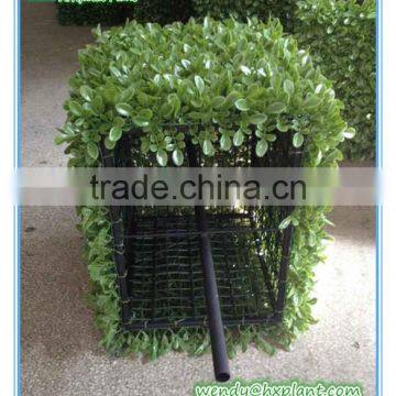 ARTIFICIAL BOXWOOD HEDGE MADE IN CHINA photo-3