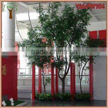 Customized Real Wood Ficus Tree photo-4