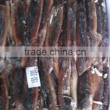 Seafood Squid Illex Squid Frozen Argentinus Squid