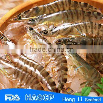 HL002 best quality louisiana shrimp on sale