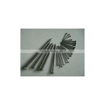 common wire iron nail for Africa market