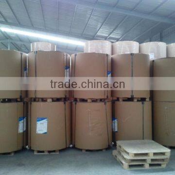 160 170 180 gsm Food Grade Disposable PE Coated Paper in Roll