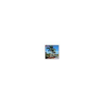 2015 Wholesale Price Artificial Plastic Outdoor Lighted 6M Palm Trees for Decoration photo-3