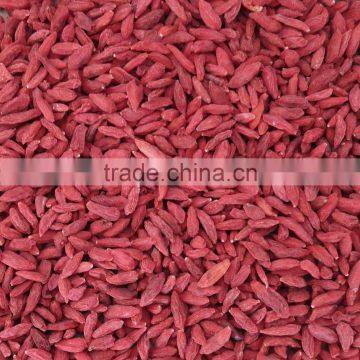 High Quality Organic Herbal Tea Bulk Dried Goji Berry photo-5