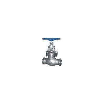 Butt weld globe valve