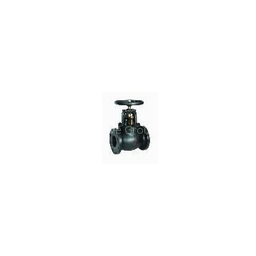 Cast iron globe valve to ANSI