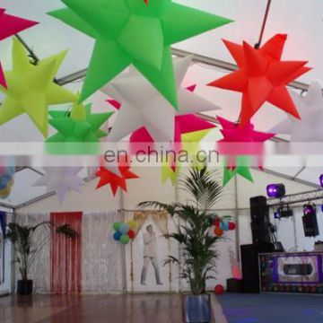 2013 Hot-Selling inflatable wedding decorative