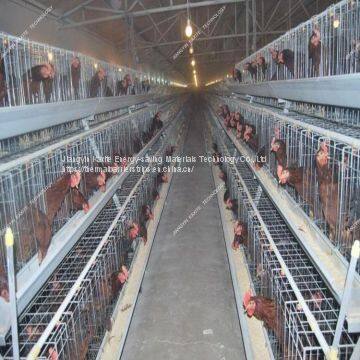 According To Customer Requires PP Glossy White Manure Belt photo-2