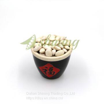 Large White Kidney Beans photo-3