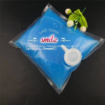 Made in China 1000ml PA/PE Bag With Long Spray Nozzle/Apply to Shampoo, Shower Gel, Hand Sanitizer,etc photo-3