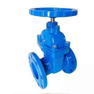 DIN 3352 F4 NRS Ductile Iron Gate Valve , Sluice Gate Valve,rubber Seal Gate Valve photo-2