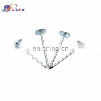 High Quality Iron Barbed Nails Checkered Spiral Smooth Shank Flat Roofing Nails photo-2
