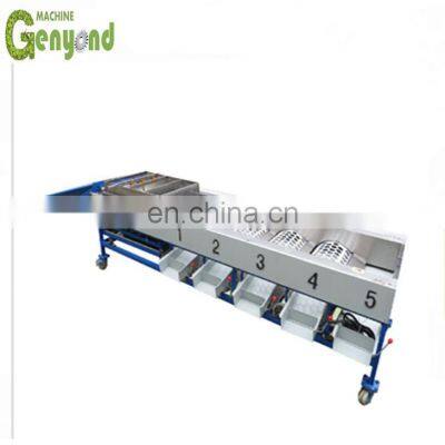 1T grading machine for olives