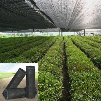 Mono Shade Net 50% Shade Rate For Greenhouse HDPE Netting UV Stablized