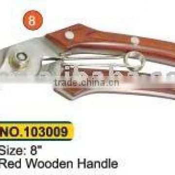 Pruning Shears