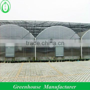 galvanized steel polycarbonate greenhouse