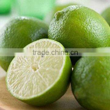 FRESH LEMON & lIME WITH BEST PRICE