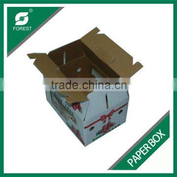 FRUIT CARTON BOX FULL PRINTING CARDBOARD PAPER BOX FOR STRAWBERRY PACKAGING WITH FREE SAMPLE